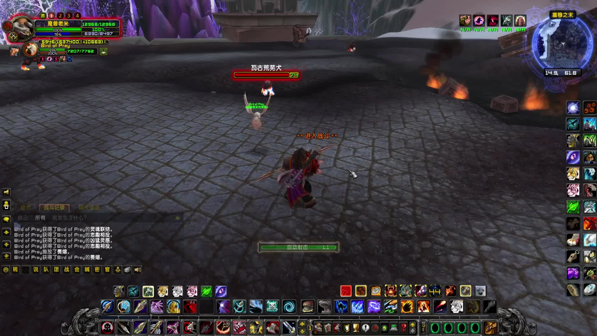 魔兽世界：怀旧服wlk猎人超帅天灾犬宝宝，没有灵魂兽之前就抓它，瓦古荒芜犬