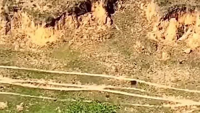 这题该如何破解