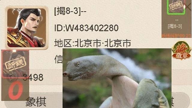 揭棋-断线狗.首都犬.     小马上去就不一样了