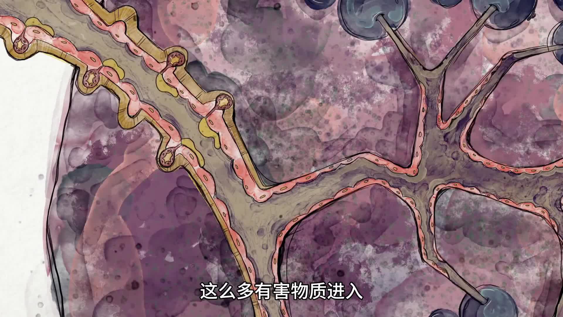 吸烟有什么危害，真的很可怕，看完你还敢吸吗