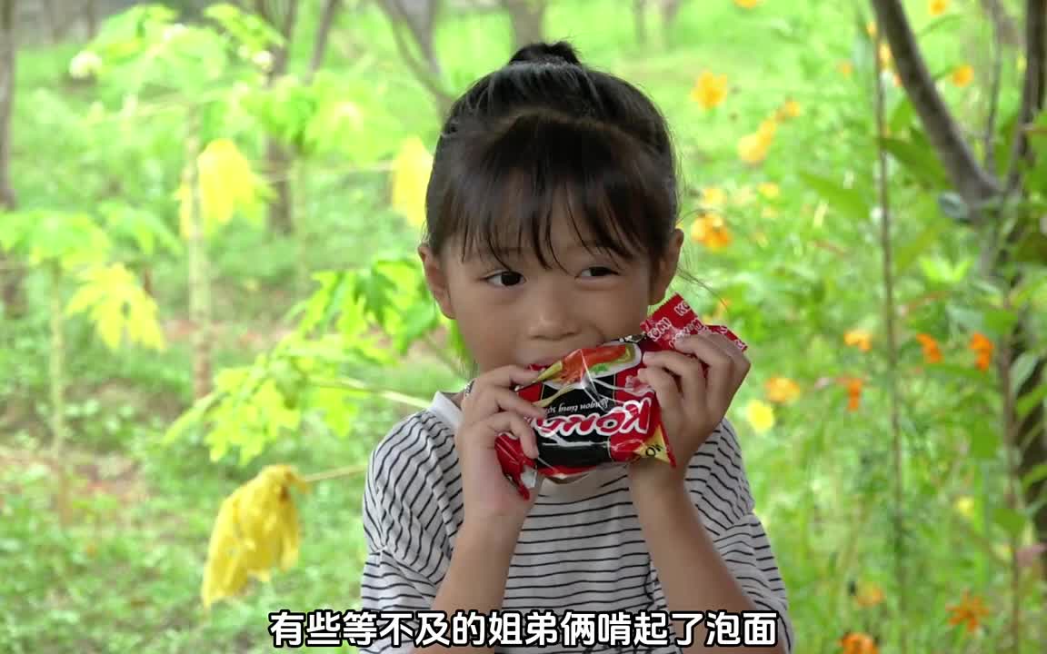照顾邻居家的小孩，采摘西红柿出售，和妹妹享受美食