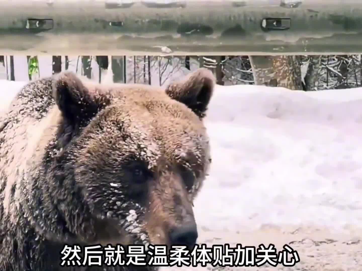 我还不想租你呢哈哈哈