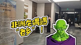 【志龍798】非洲龍偶遇“老鄉(xiāng)”！