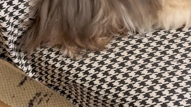 关于为什么要戴头套