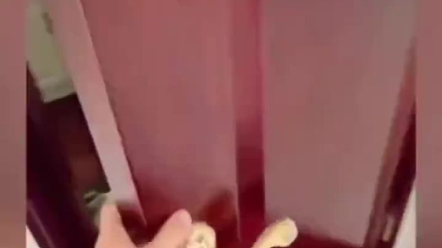 你干活了么？就要钱