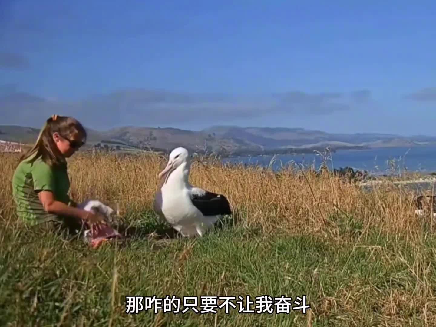 这不看孩子呢吗