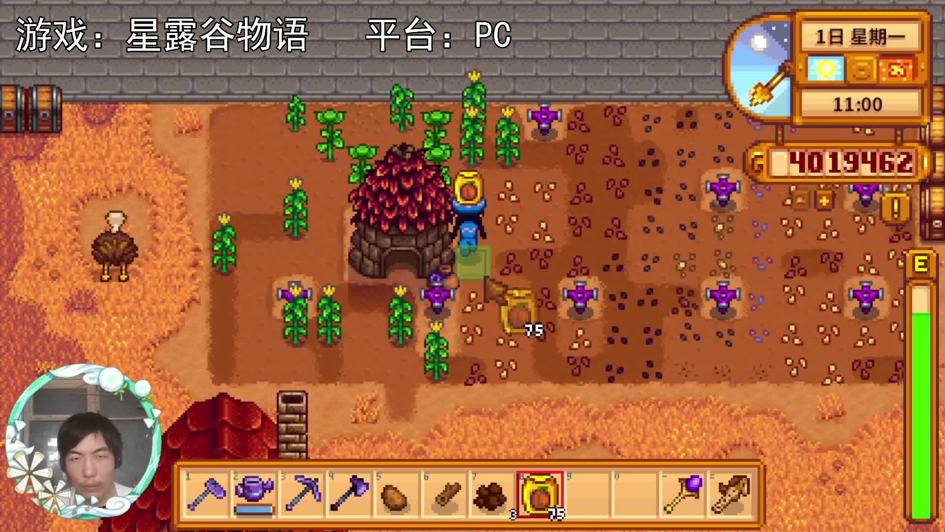 【星露谷物语】第九年，秋天种菜！