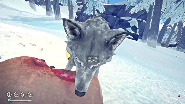 是直播呦，别问啦