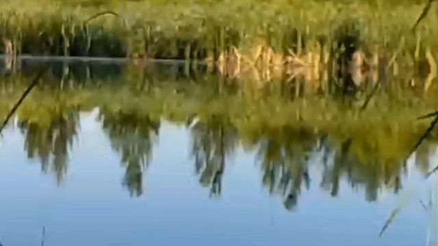 为什么这么多人爱上钓鱼？