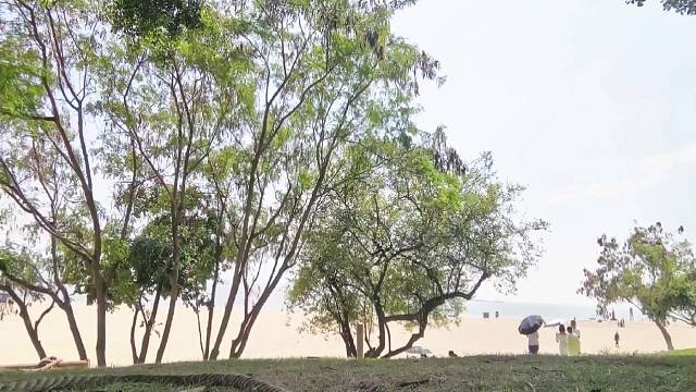 好玩爱玩下次不来了