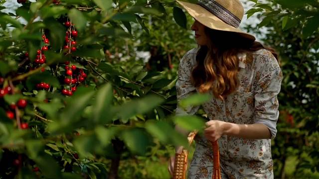 冠军乔0907为热爱记录美好生活