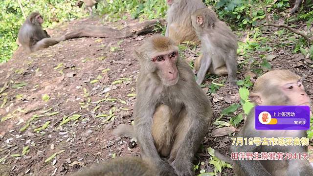菜菜王你要加油呀！