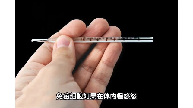 让免疫细胞踏上“风火轮” 增强人体免疫力#希诺赛免疫力调节套餐