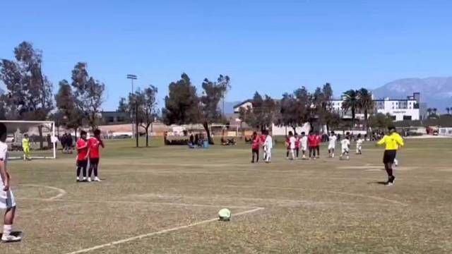 “平静的大海培养不出优秀的水手”