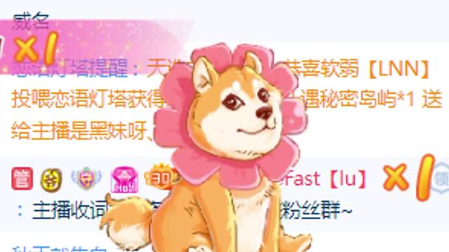 有迟到但不会错过你们的礼物截图，谢谢支持林儿的你们