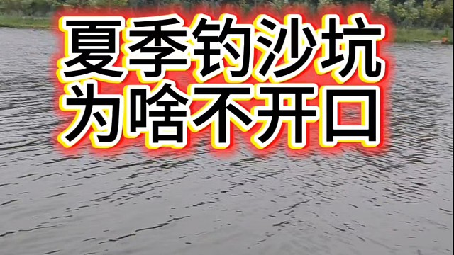 夏季野钓沙坑鱼不开口原因