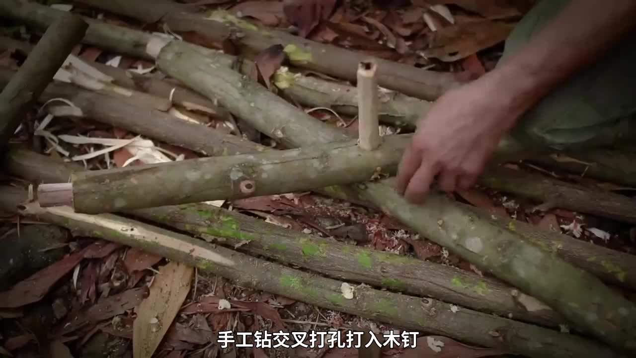 第2集：男人一天时间就搭建了这么漂亮的树洞庇护所，还吃上了鲜嫩的大鲤鱼