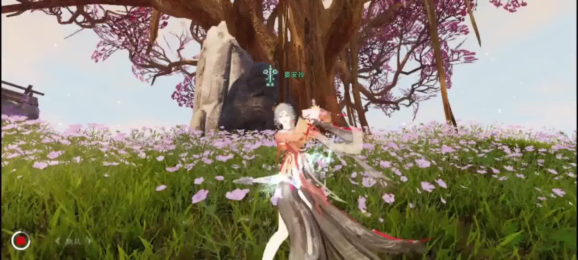 我在等风也在等你