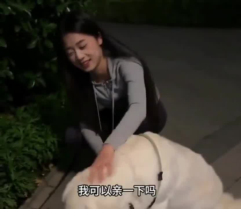 哇塞，还会韩语