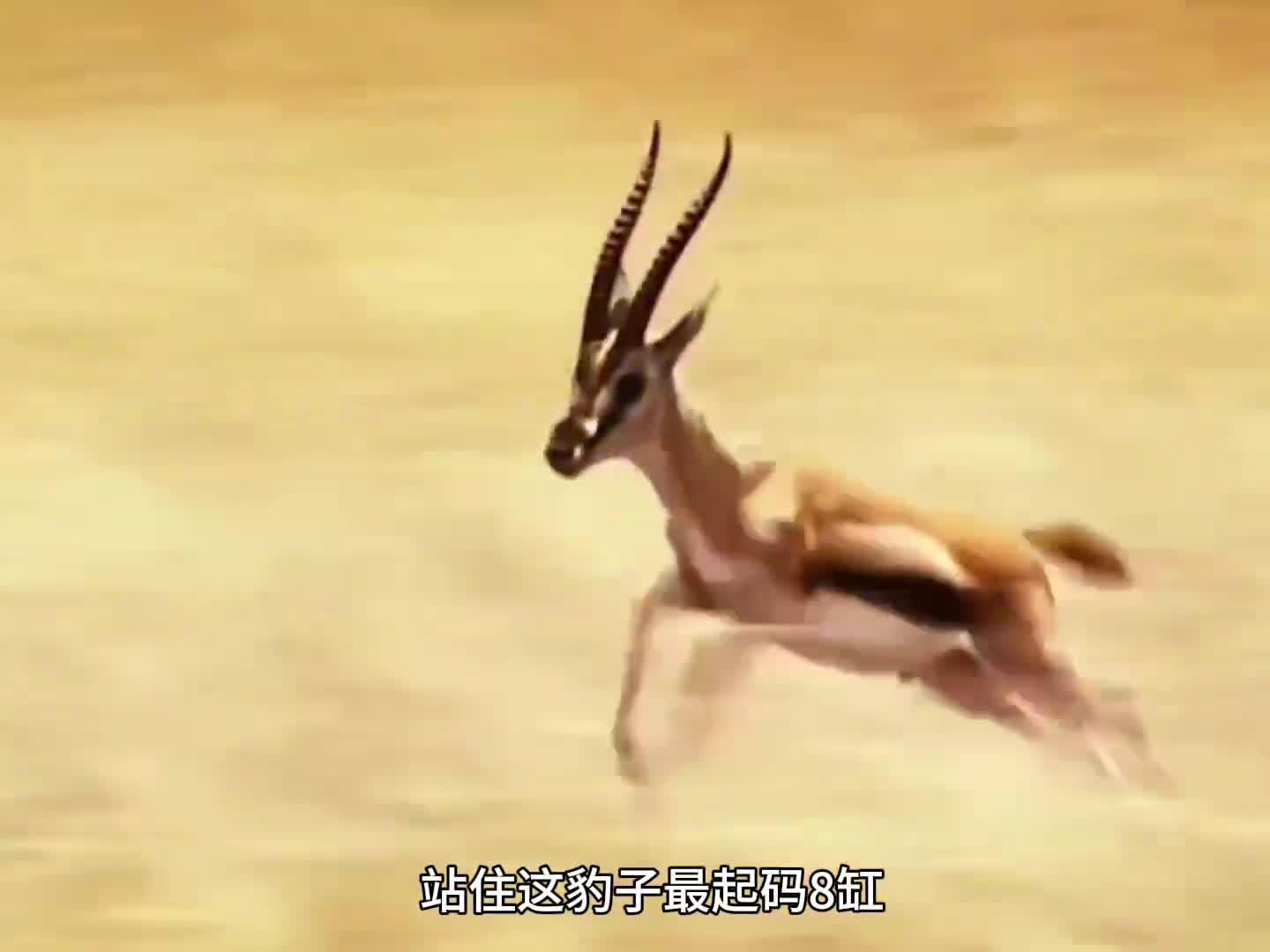 谁能有我快 哈哈哈