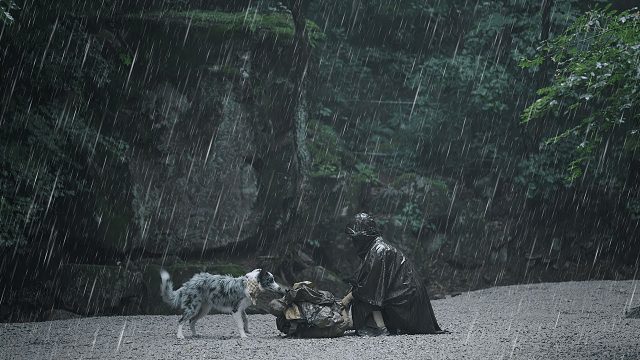 暴雨+边牧+森林雨声＝极致治愈露营夜！沉浸式露营 | 露营电影