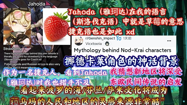 雅珂达在斯洛伐克语中就是草莓的意思，斯洛伐克玩家评析挪德卡莱中的角色文化引用：“希望将来能有更多关于