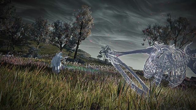 《艾尔登法环黑夜君临》双人模式将于7月30日上线