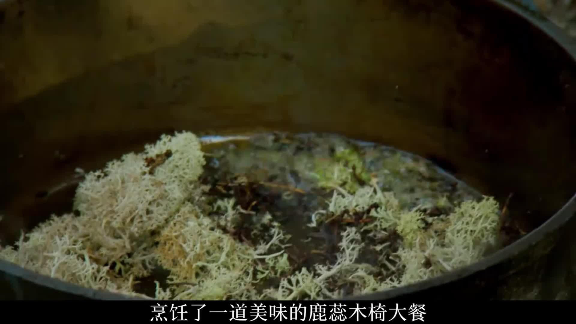 猎人和厨子芬兰极圈荒野求生，捕获白斑狗鱼，实现烤鱼自由!(3)