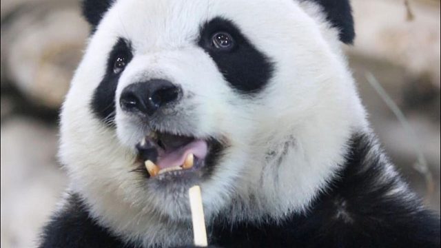 是谁在背后蛐蛐我？