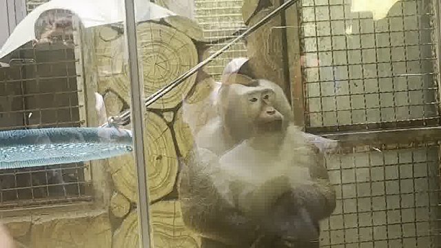 随便一个噘嘴就能迷倒万千游客朋友