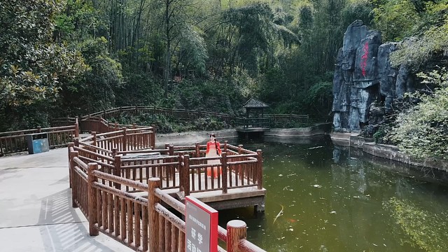 我就不信这会还有没睡的～