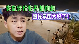 神豪安總評(píng)價(jià)張開(kāi)朗狗場(chǎng)，圈錢氛圍太好了！