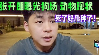 張開(kāi)朗曝光狗場(chǎng)動(dòng)物現(xiàn)狀！死了好幾種了！