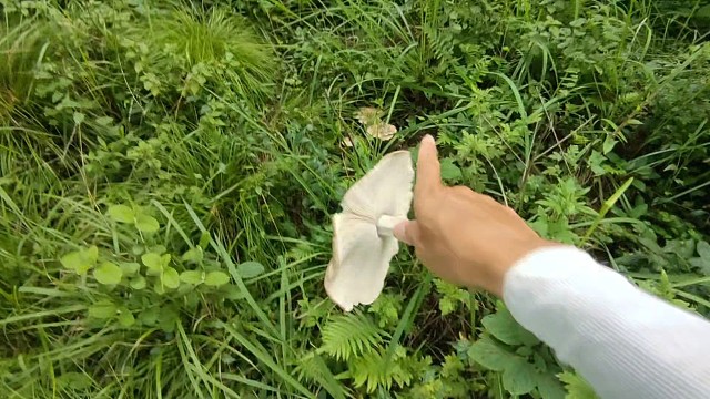 走在马路边一下就跑上山找鸡枞菌