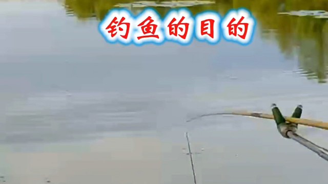 钓鱼的目的