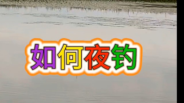 如何夜钓