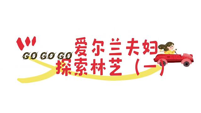 爱尔兰夫妇探索林芝《一》