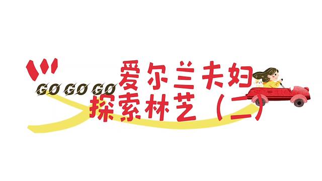 爱尔兰夫妇探索林芝《二》
