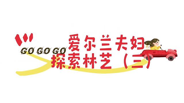 爱尔兰夫妇探索林芝《三》