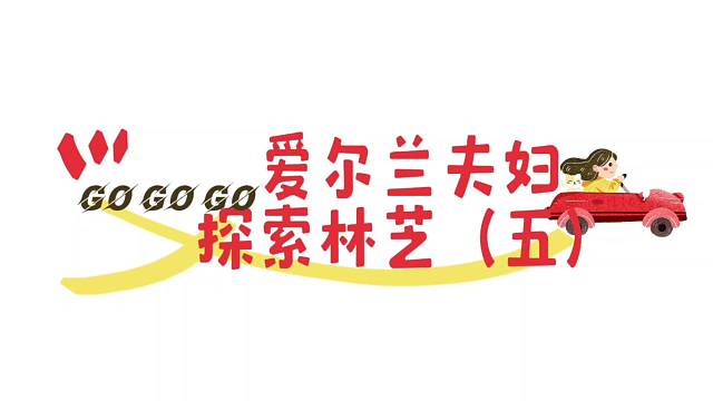 爱尔兰夫妇探索林芝《五》