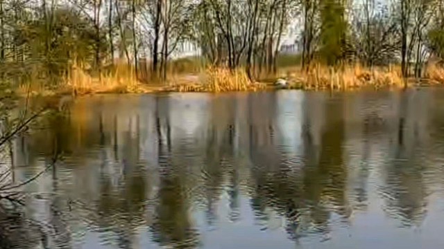 夏季野钓饵料咋调整？