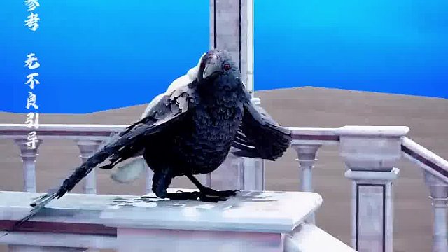 这是一只全身乌黑的小家伙，虽然身材瘦小，却非常狡猾