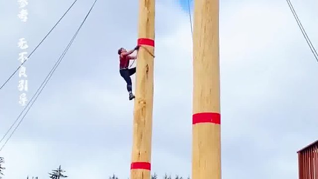 这是一场速度激烈的爬树比赛，令人热血沸腾