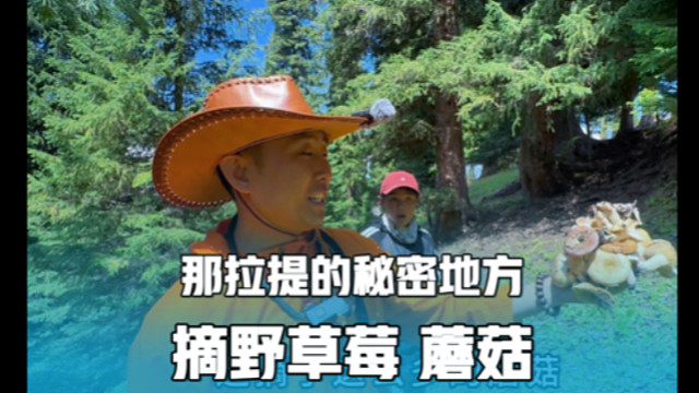 房车自驾新疆，小姑娘骑马带我们去摘野草莓，又发现了好多蘑菇