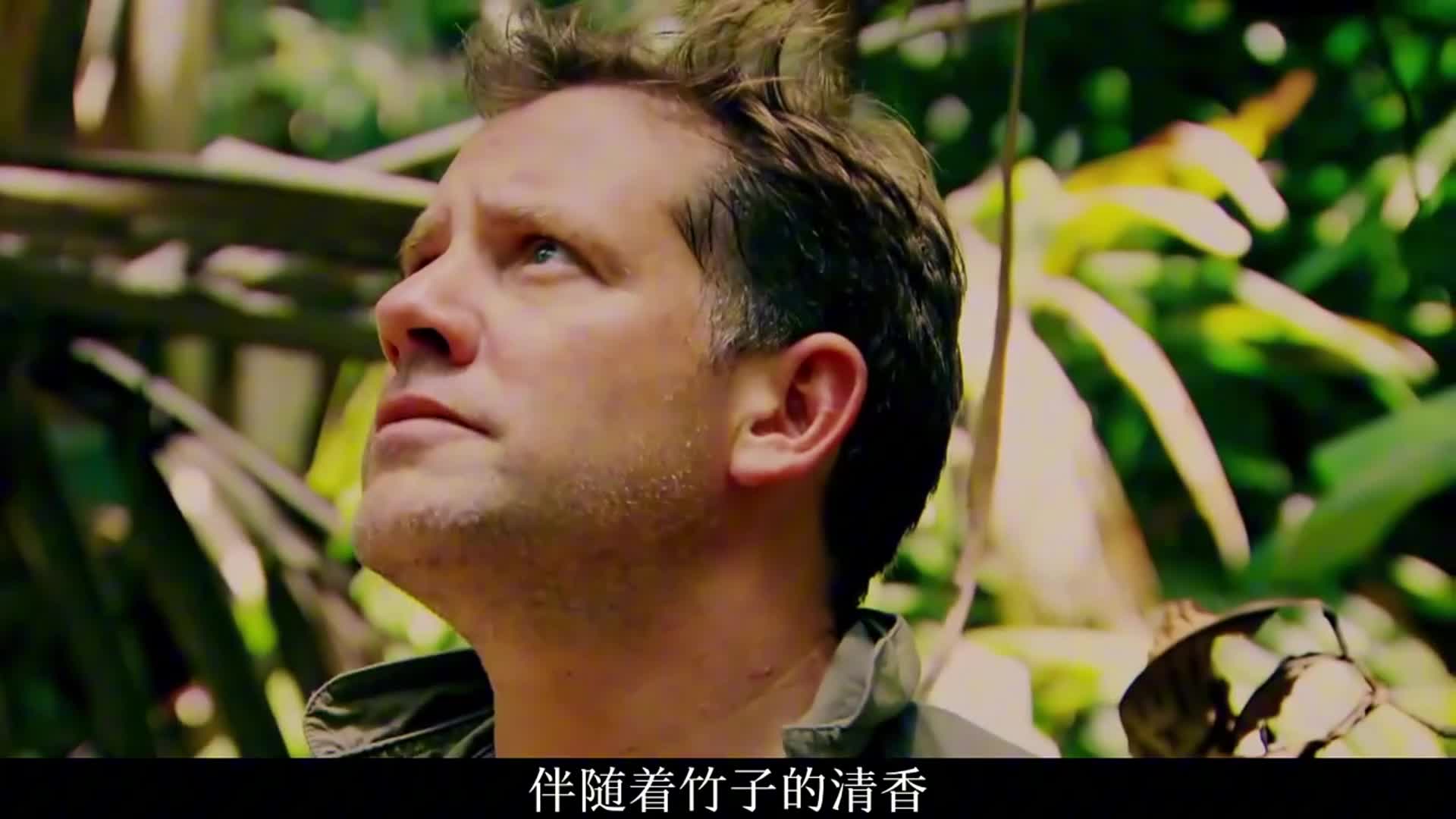 猎人和厨子加里曼丹岛荒野求生，吃上海鲜大餐!(2)