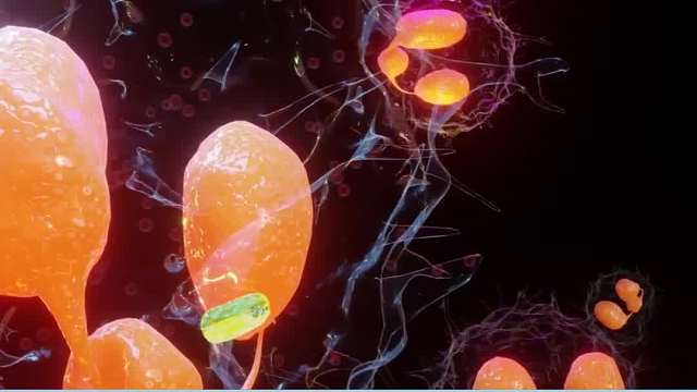 稳稳扛住五年，靠这个