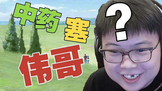 查理斯：我听说过，中药里面塞伟哥。不得大病，怎么知道中药好不好用？