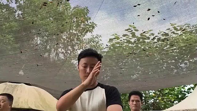 学习太极需要真学、真教和悟性，尤其在传承过程中，对太极的热爱和执着至关重要