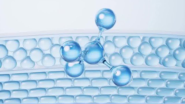 高回报内服！美得毫不费力！