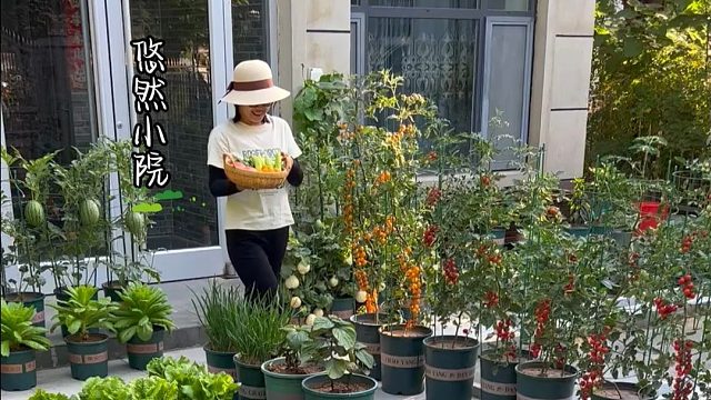 小院总是有摘不完的菜#田园生活